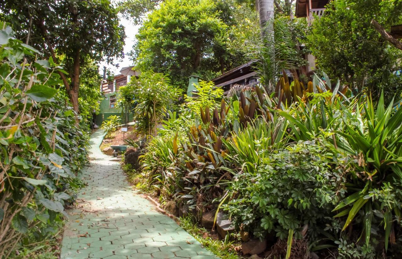 Sunset Strip Eco Apartments Florianópolis Kültér fotó
